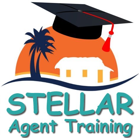 Stellar Agent Training